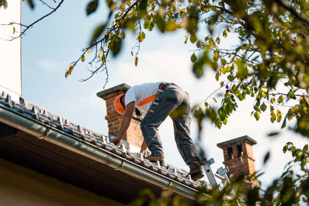 Roof Insulation in Arcola, VA